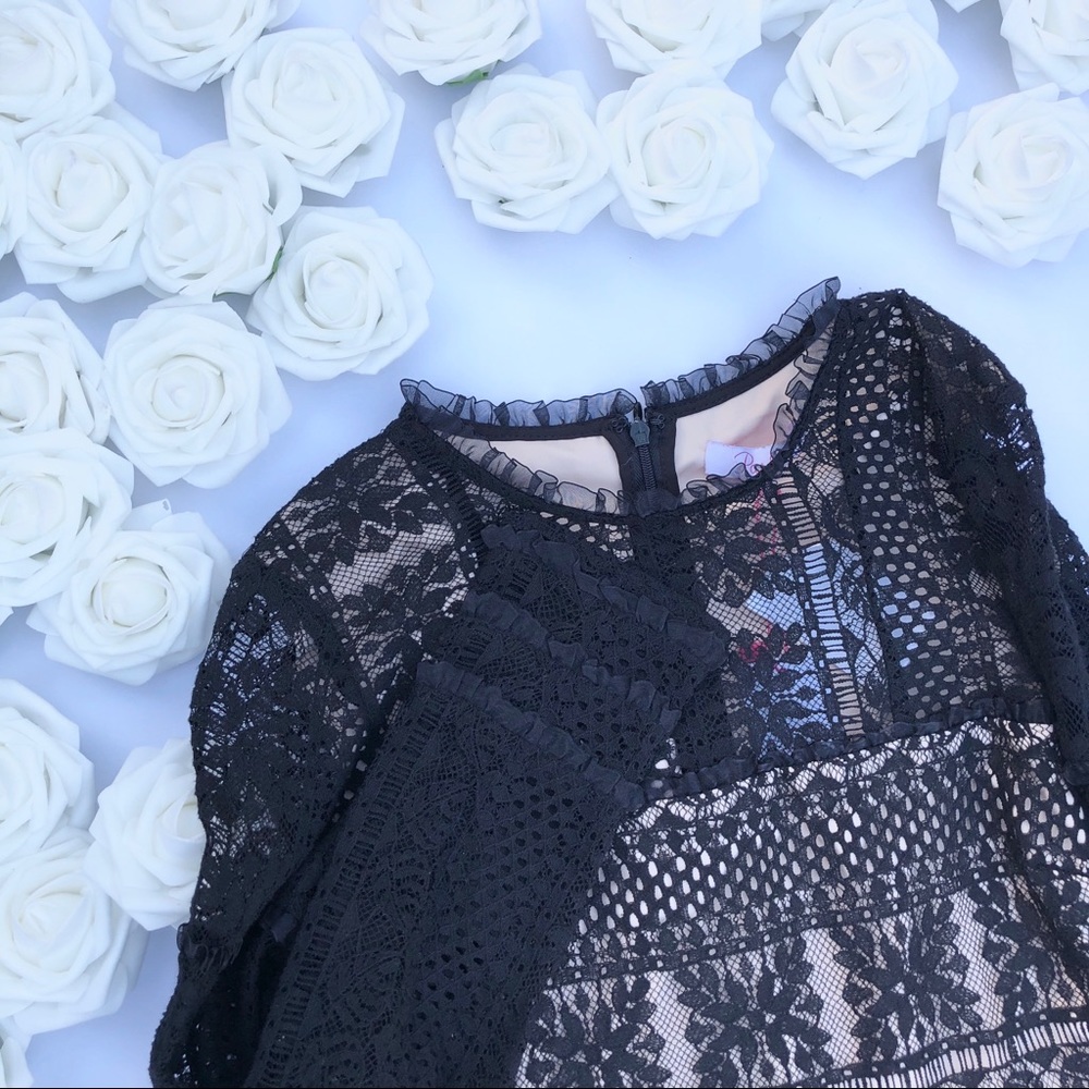 Parker Black Lace and Nude Ruffle Contrast Dress - Picture 5 of 8